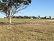 Photo - . Cadonia Park, Cunderdin WA 6407 - Image 2