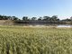 Photo - . Cadonia Park, Cunderdin WA 6407 - Image 3