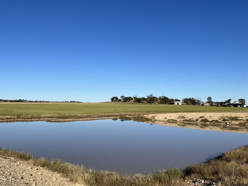 Photo - . Cadonia Park, Cunderdin WA 6407 - Image 4