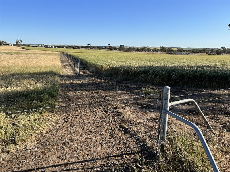 Photo - . Cadonia Park, Cunderdin WA 6407 - Image 5