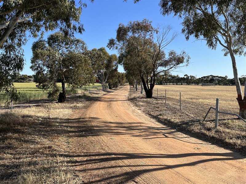 Photo - . Cadonia Park, Cunderdin WA 6407 - Image 8