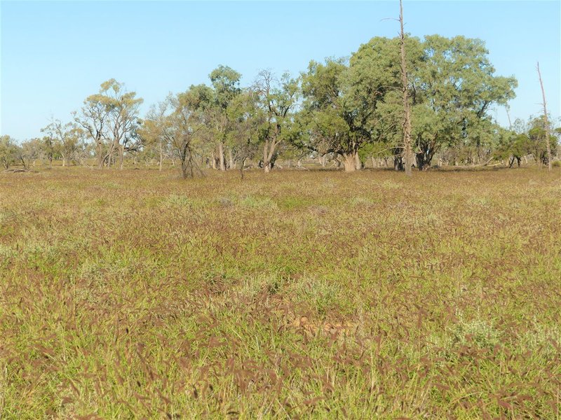 Photo - Carbean Mitchell Highway, Cunnamulla QLD 4490 - Image 2