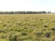 Photo - Carbean Mitchell Highway, Cunnamulla QLD 4490 - Image 11