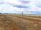 Photo - Carbean Mitchell Highway, Cunnamulla QLD 4490 - Image 18