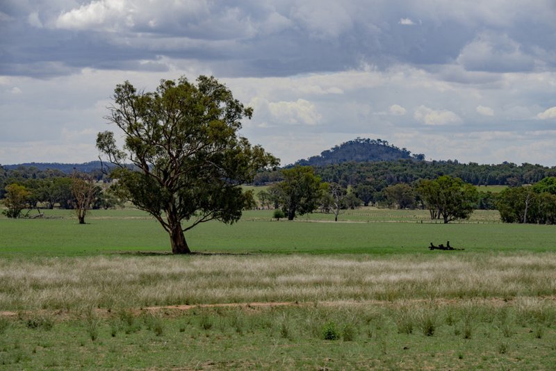 ' Carlton' , Coonabarabran NSW 2357