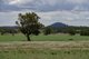 Photo - ' Carlton' , Coonabarabran NSW 2357 - Image 1