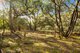 Photo - Carngham VIC 3351 - Image 1