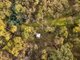 Photo - Carngham VIC 3351 - Image 4