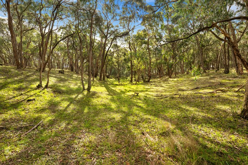 Photo - Carngham VIC 3351 - Image 6