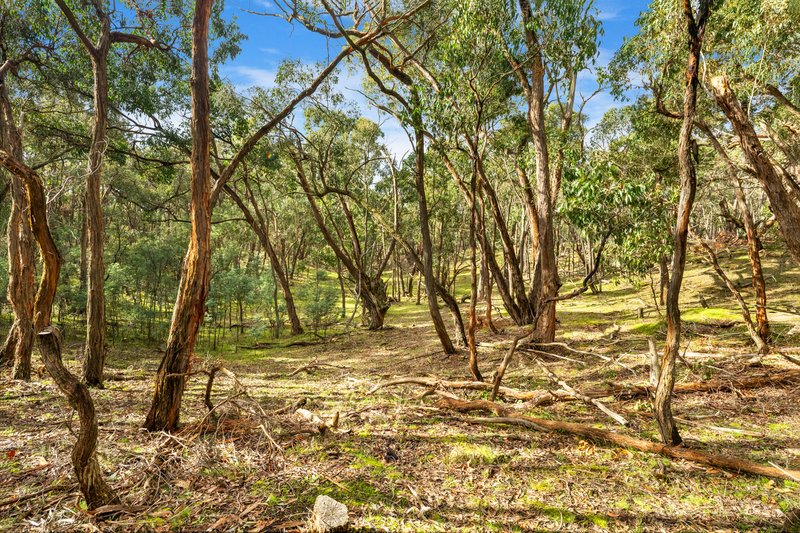 Photo - Carngham VIC 3351 - Image 8