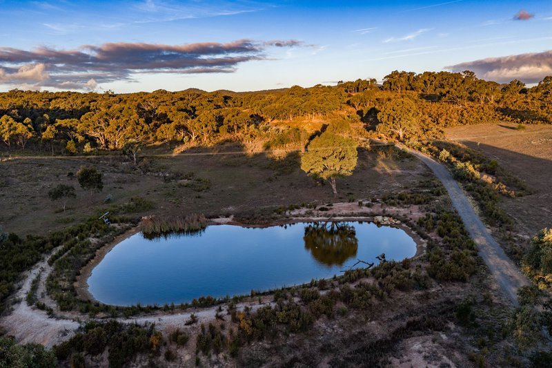 Photo - "Carolyn's Creek", 5388 Gundaroo Road, Gundaroo NSW 2620 - Image 4