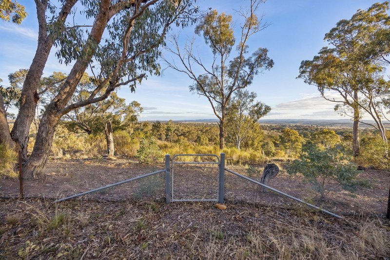 Photo - "Carolyn's Creek", 5388 Gundaroo Road, Gundaroo NSW 2620 - Image 13