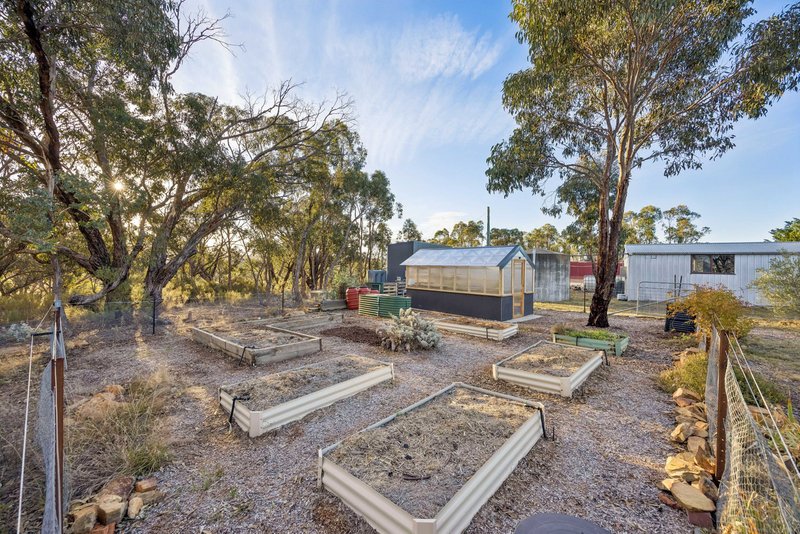 Photo - "Carolyn's Creek", 5388 Gundaroo Road, Gundaroo NSW 2620 - Image 14
