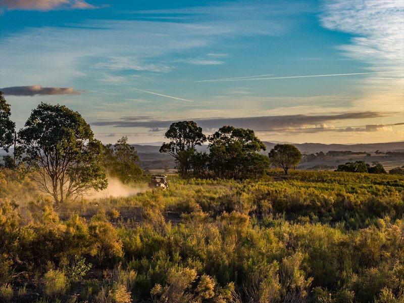 Photo - "Carolyn's Creek", 5388 Gundaroo Road, Gundaroo NSW 2620 - Image 16