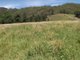 Photo - Carrowbrook NSW 2330 - Image 1