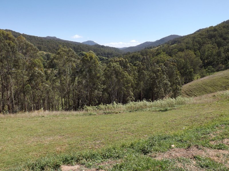 Photo - Carrowbrook NSW 2330 - Image 2