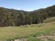 Photo - Carrowbrook NSW 2330 - Image 2