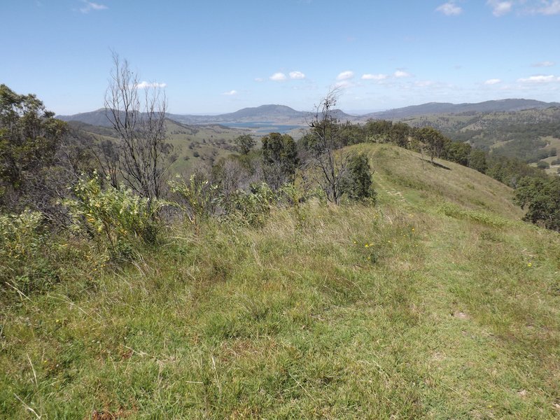 Photo - Carrowbrook NSW 2330 - Image 6