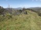 Photo - Carrowbrook NSW 2330 - Image 6