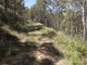 Photo - Carrowbrook NSW 2330 - Image 7