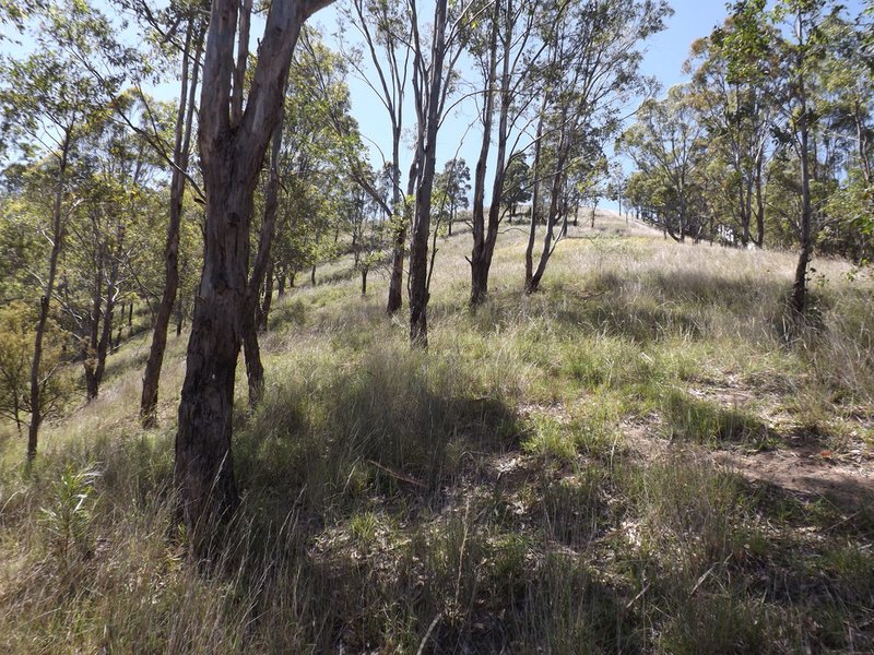 Photo - Carrowbrook NSW 2330 - Image 8