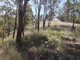 Photo - Carrowbrook NSW 2330 - Image 8