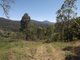 Photo - Carrowbrook NSW 2330 - Image 9