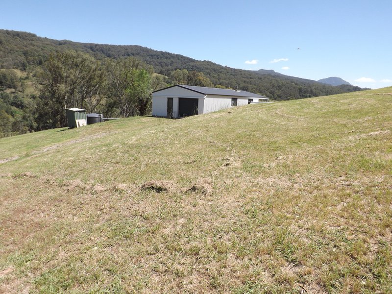 Photo - Carrowbrook NSW 2330 - Image 11