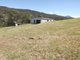 Photo - Carrowbrook NSW 2330 - Image 11