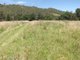 Photo - Carrowbrook NSW 2330 - Image 14