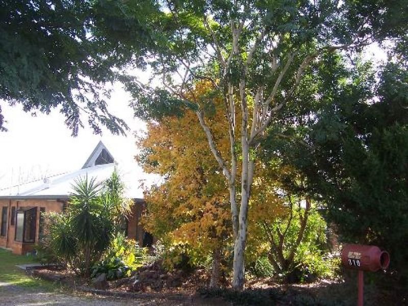 Photo - Cedar Grove QLD 4285 - Image 5