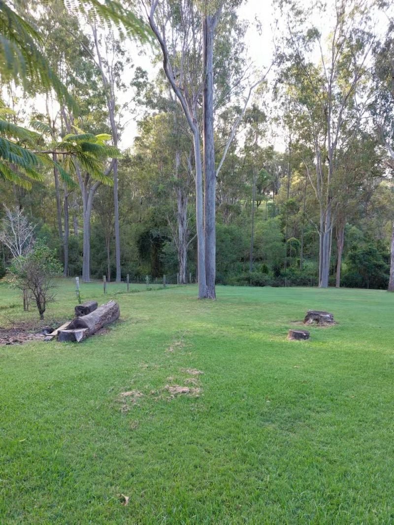 Photo - Cedar Vale QLD 4285 - Image 8