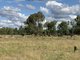 Photo - Charleville QLD 4470 - Image 2