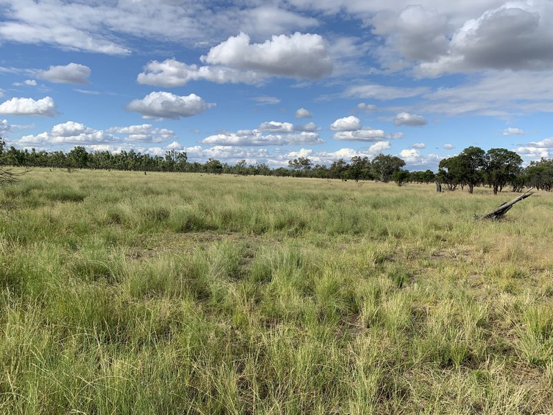 Photo - Charleville QLD 4470 - Image 11