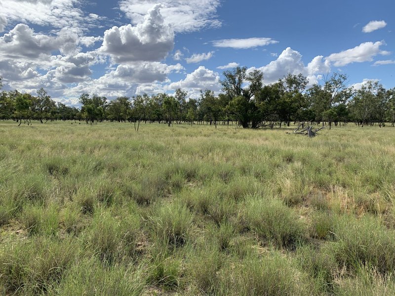 Photo - Charleville QLD 4470 - Image 16