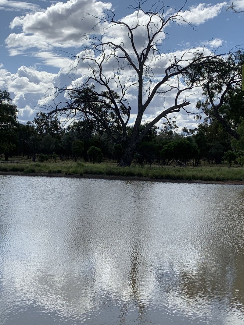 Photo - Charleville QLD 4470 - Image 17