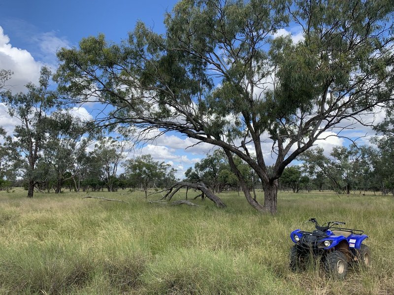 Photo - Charleville QLD 4470 - Image 18