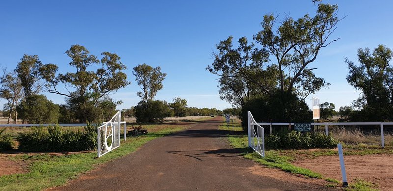 Photo - Charleville QLD 4470 - Image 7