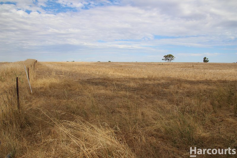 Photo - . Clear Lake - Sherwoods Dam Road, Noradjuha VIC 3409 - Image 12