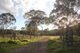 Photo - 'Cliffdale' 1932 Murphys Creek Road, Murphys Creek QLD 4352 - Image 17