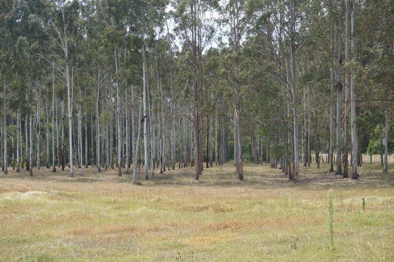 Photo - 'Cliffdale' 1932 Murphys Creek Road, Murphys Creek QLD 4352 - Image 21