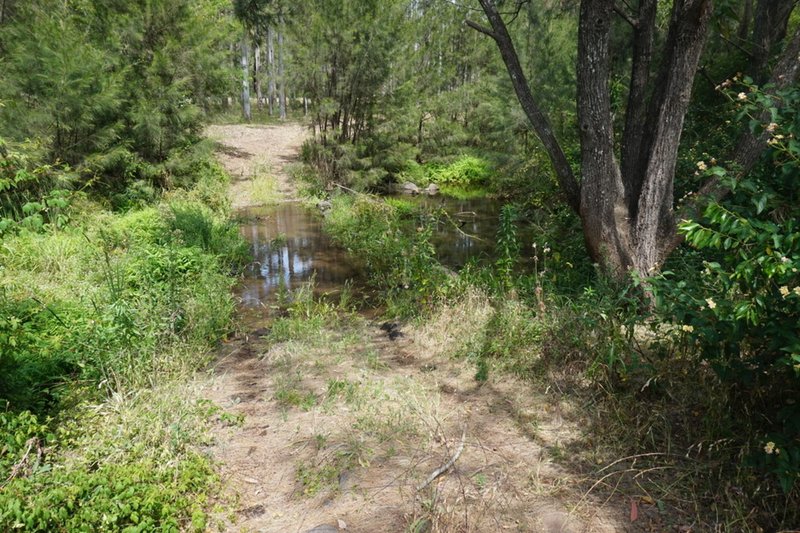 Photo - 'Cliffdale' 1932 Murphys Creek Road, Murphys Creek QLD 4352 - Image 22