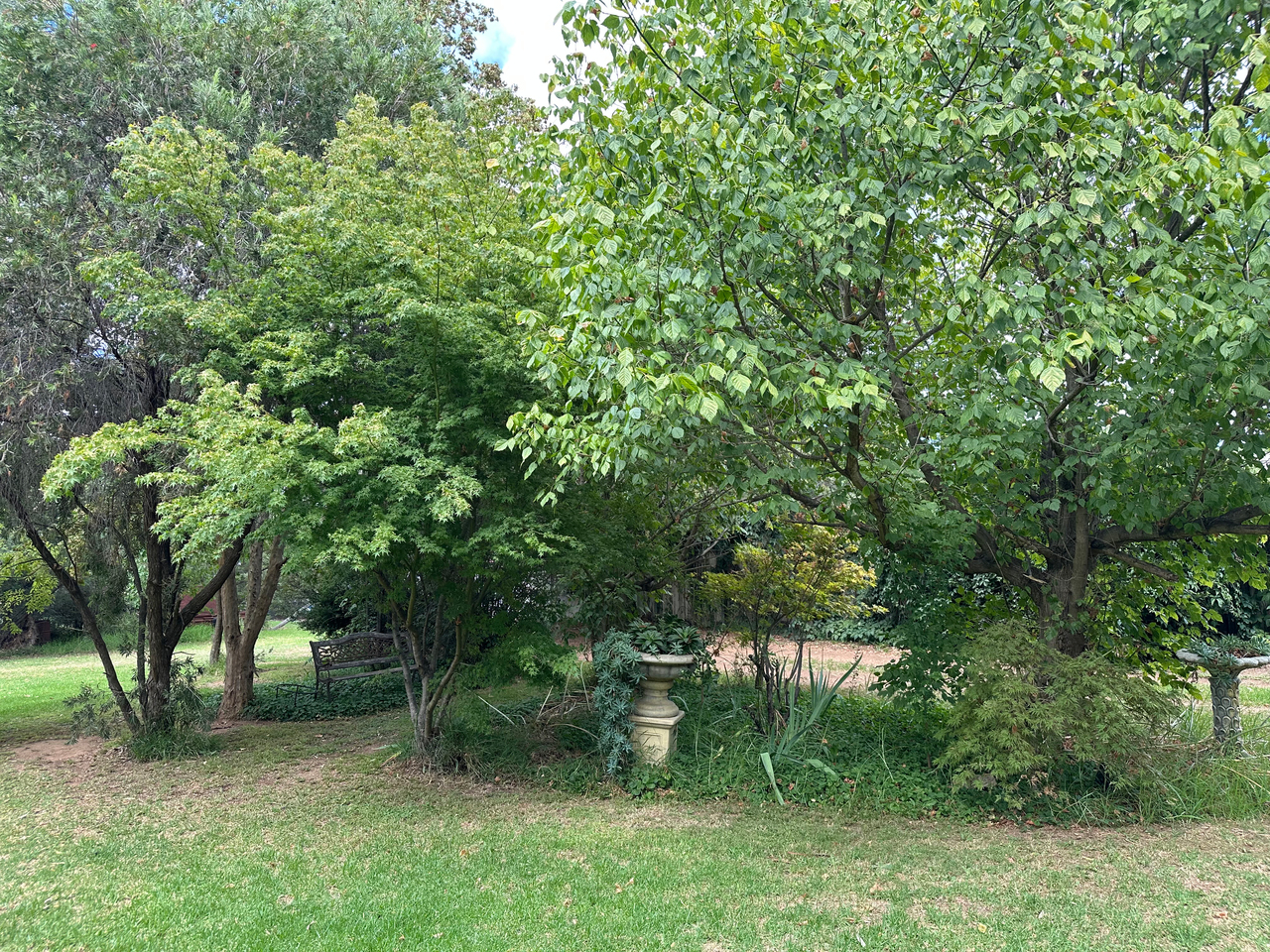 4-bedroom house at 78-82 GODDARD STREET, Coolah NSW 2843, Warrumbungle, New South Wales