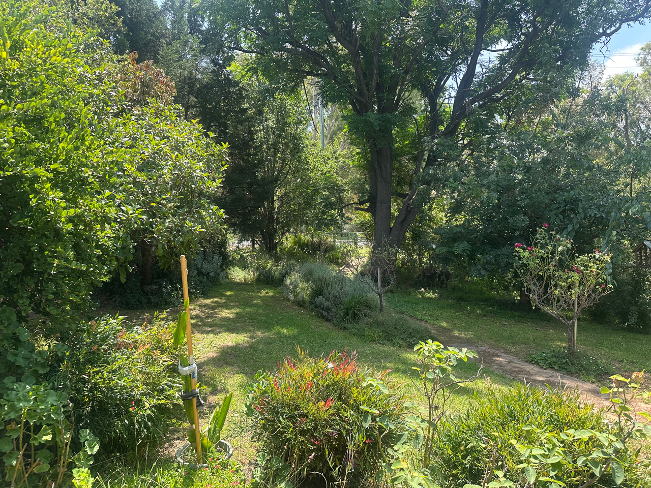 4-bedroom house at 78-82 GODDARD STREET, Coolah NSW 2843, Warrumbungle, New South Wales