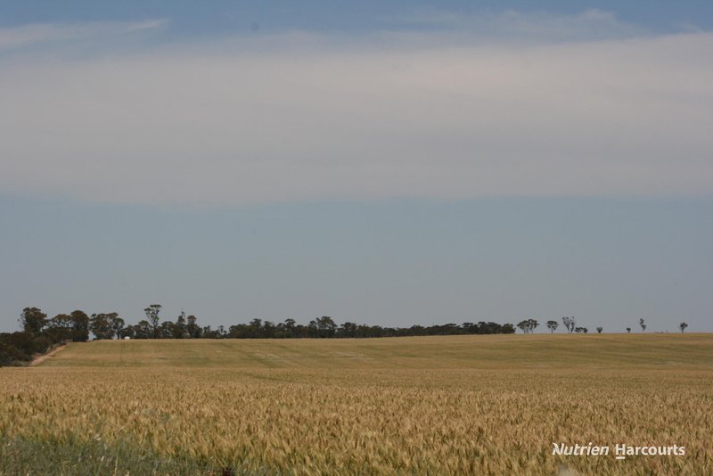 Photo - . Cnr Nembudding South Road & Hammond Road, Korrelocking WA 6485 - Image 6