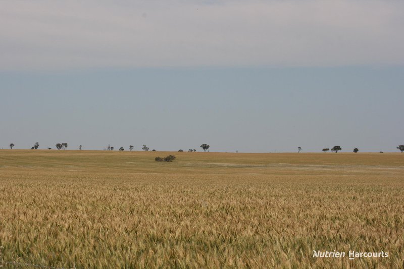 Photo - . Cnr Nembudding South Road & Hammond Road, Korrelocking WA 6485 - Image 7