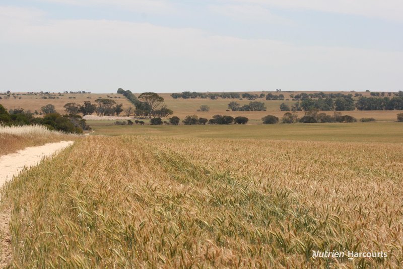 Photo - . Cnr Nembudding South Road & Hammond Road, Korrelocking WA 6485 - Image 8