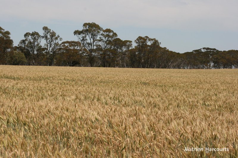 Photo - . Cnr Nembudding South Road & Hammond Road, Korrelocking WA 6485 - Image 10