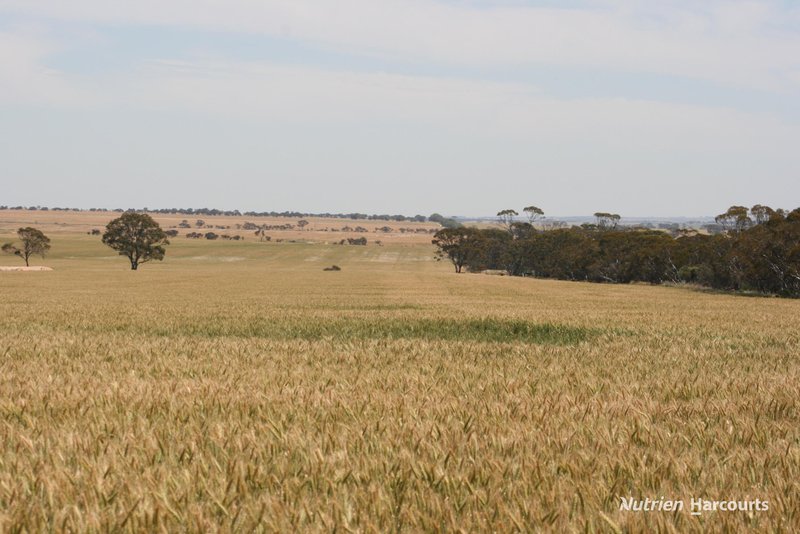 . Cnr Nembudding South Road & Hammond Road, Korrelocking WA 6485