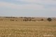 Photo - . Cnr Nembudding South Road & Hammond Road, Korrelocking WA 6485 - Image 4